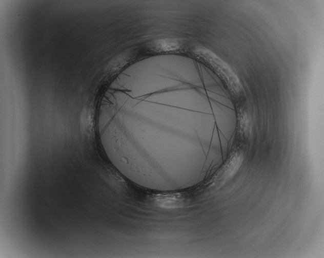 X0000103130373200809051614