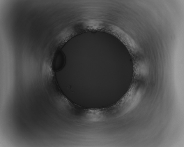 X0000103130376200809051614