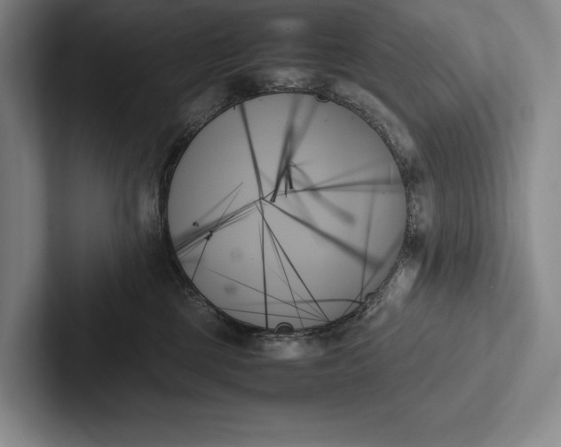 X0000103130377200809051614