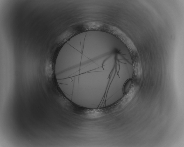 X0000103130378200809051614