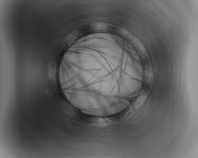 X0000103130379200809051614