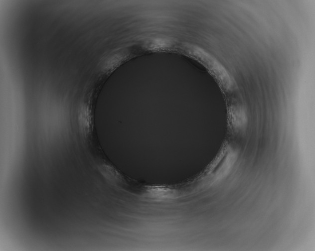X0000103130380200809051614