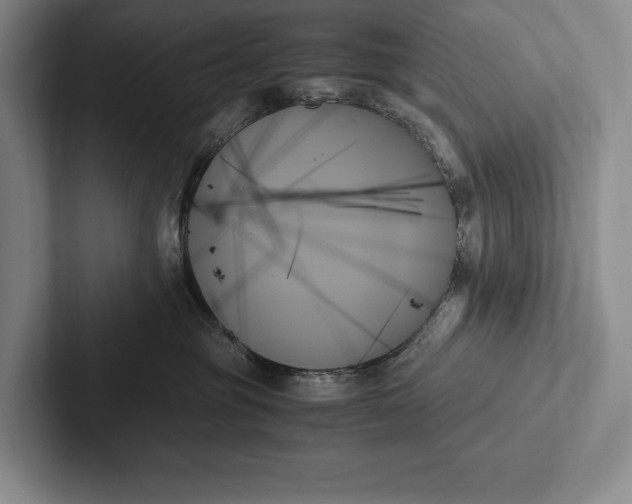 X0000103130381200809051614