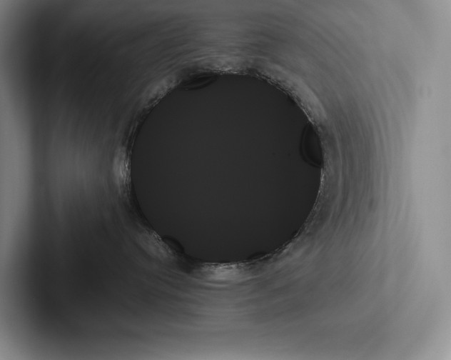 X0000103130384200809051614