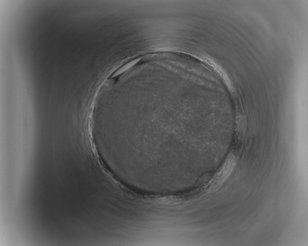 X0000103130385200809051614