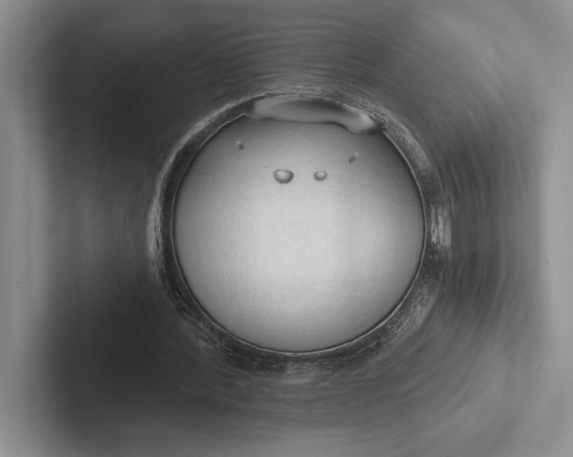 X0000103130388200809051614