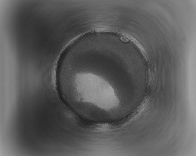 X0000103130391200809051614