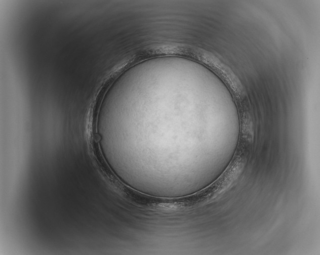 X0000103130394200809051614