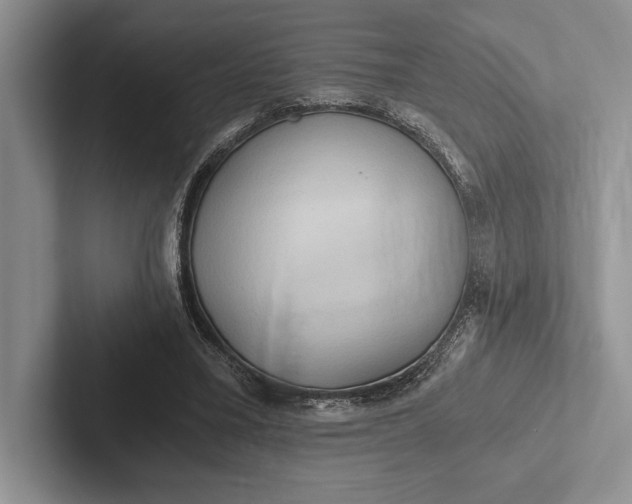 X0000103130395200809051614