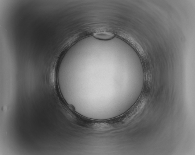 X0000103130397200809051614