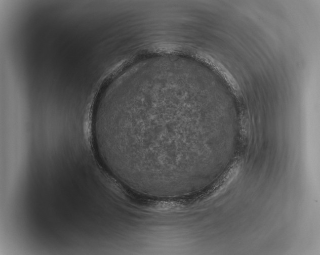 X0000103130399200809051614