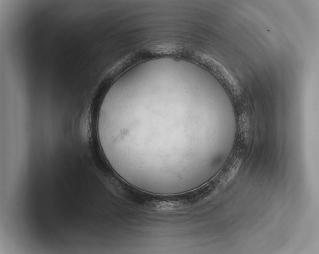 X0000103130400200809051614