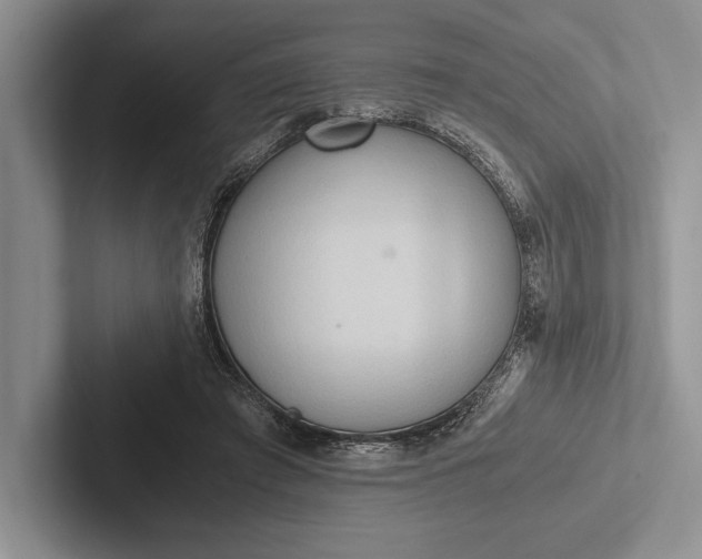 X0000103130401200809051614