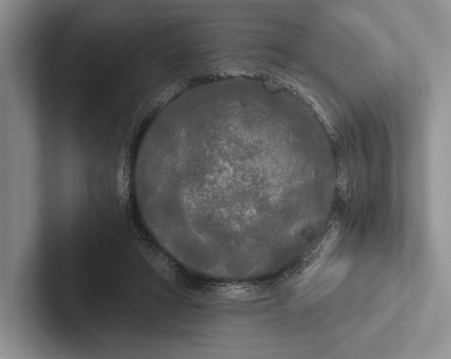 X0000103130402200809051614