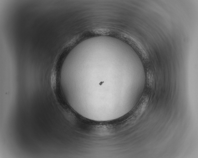 X0000103130404200809051613
