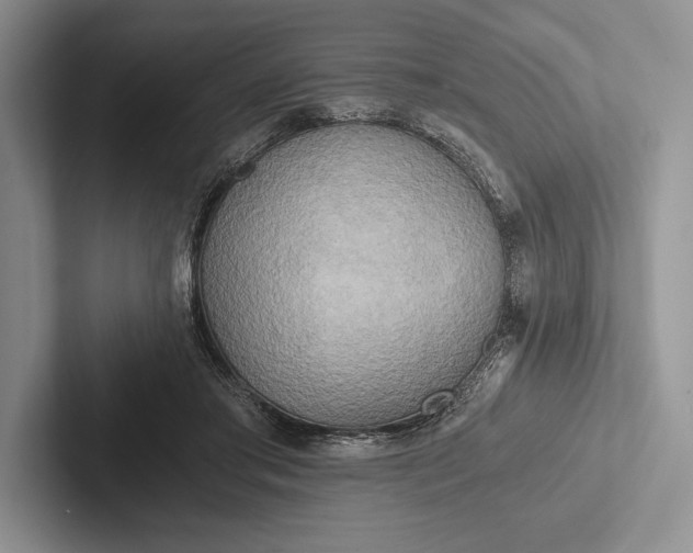 X0000103130405200809051613