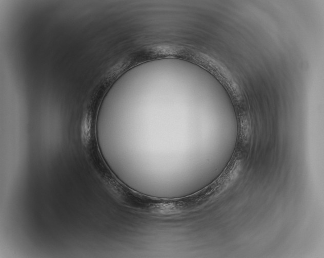 X0000103130406200809051613
