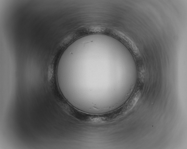 X0000103130407200809051613