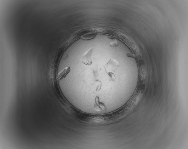 X0000103130409200809051613