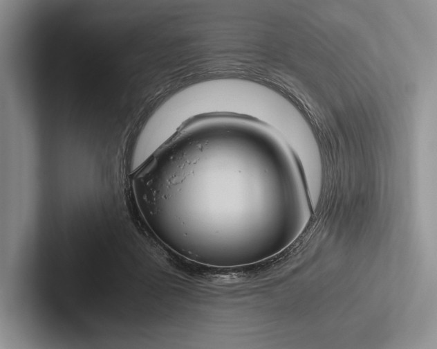 X0000103130411200809051613