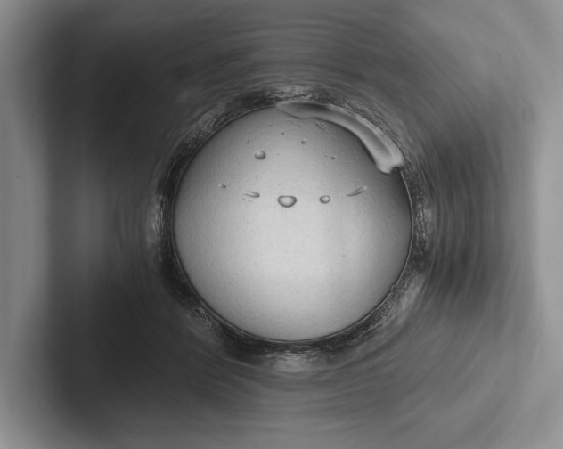 X0000103130412200809051613