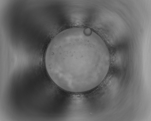X0000103130415200809051613