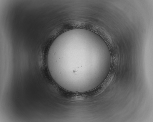 X0000103130416200809051613