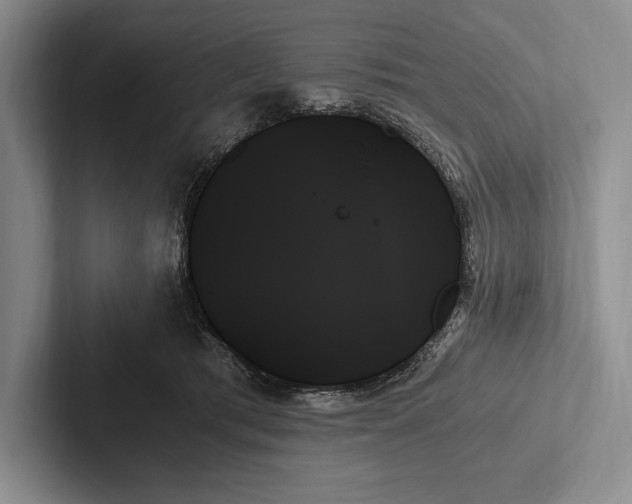 X0000103130417200809051613