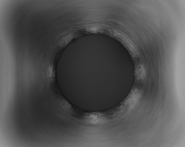 X0000103130420200809051613