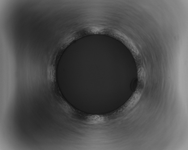 X0000103130421200809051613
