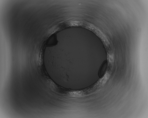 X0000103130422200809051613