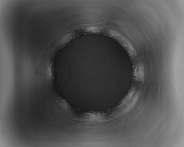 X0000103130424200809051613