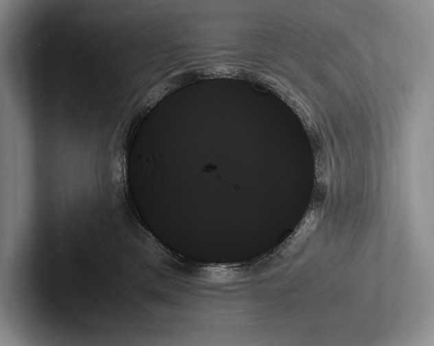 X0000103130425200809051613