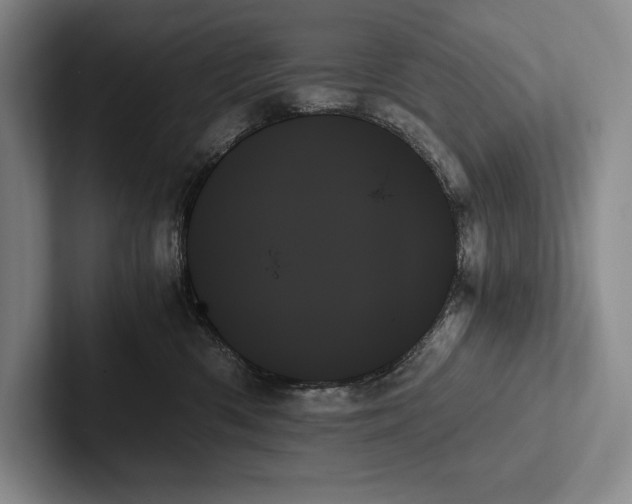 X0000103130426200809051613