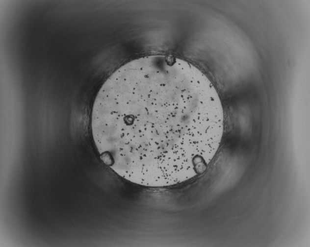 X0000103130427200809051613