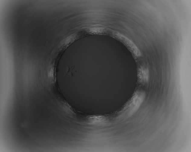 X0000103130428200809051613