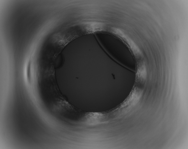 X0000103130429200809051613