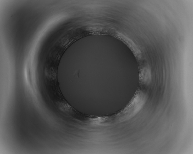 X0000103130430200809051613