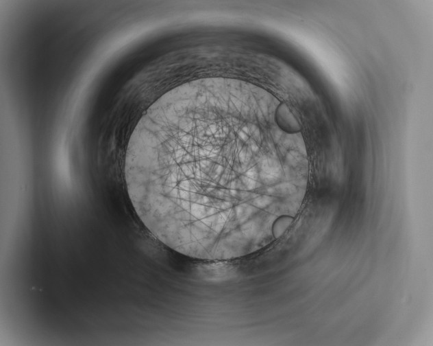 X0000103130431200809051613