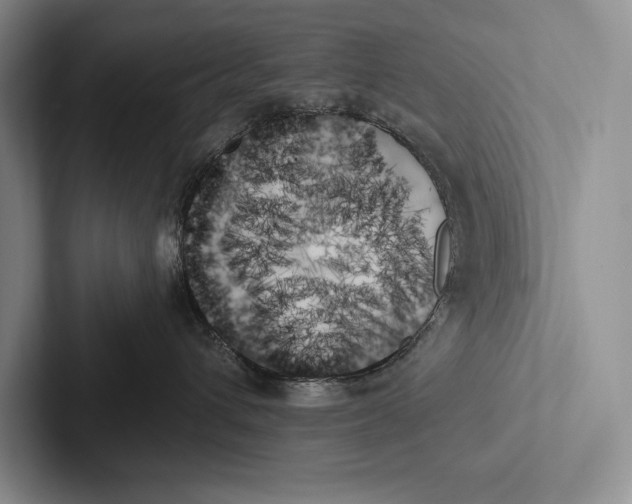 X0000103130432200809051613