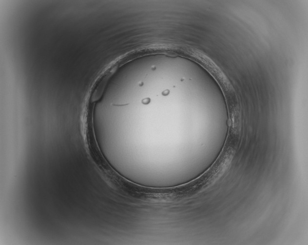 X0000103130436200809051612