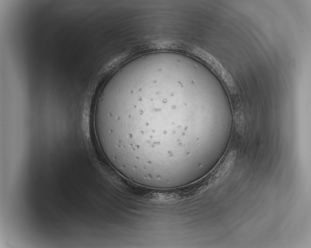 X0000103130442200809051613