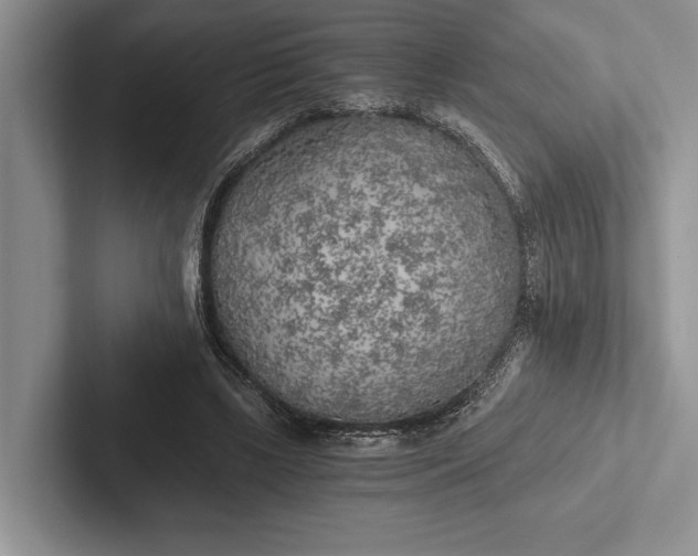 X0000103130443200809051613