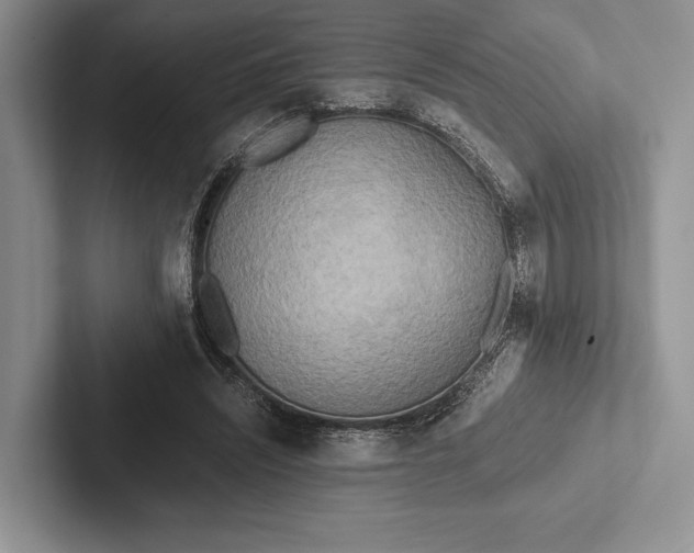 X0000103130444200809051613