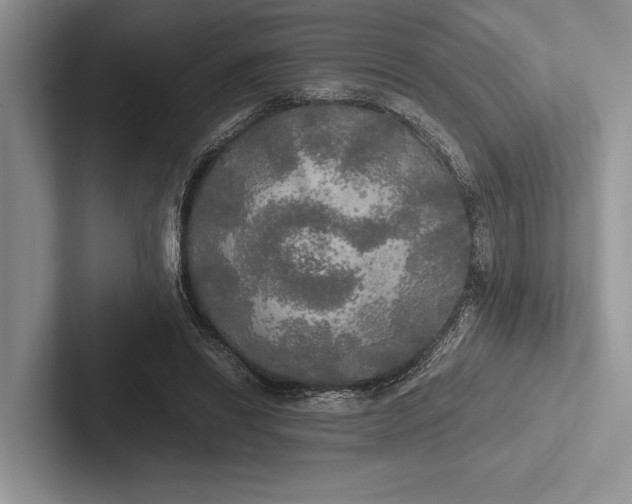 X0000103130446200809051613