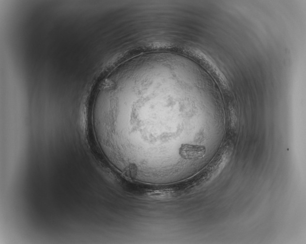 X0000103130447200809051613