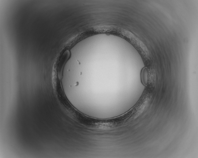 X0000103130448200809051613