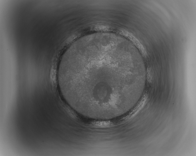 X0000103130449200809051613