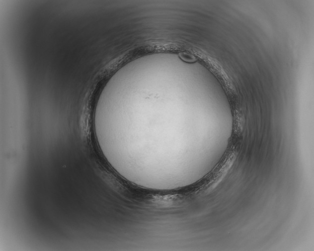 X0000103130450200809051613