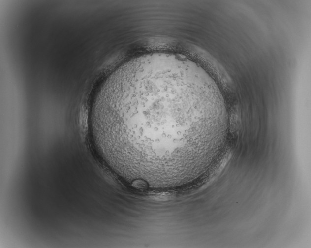 X0000103130454200809051613